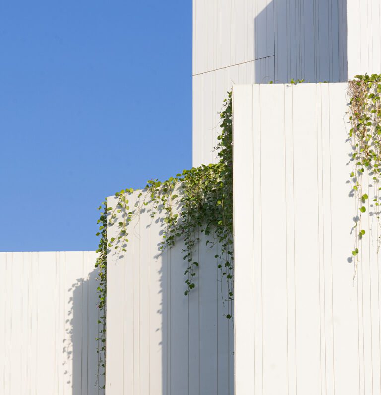 Natural History Museum Detail